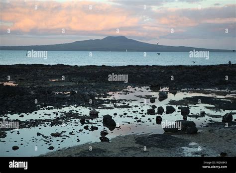 iconic rangitoto volcano  rangitoto island photo   tje