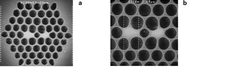 SEM micrographs of the dual core photonic crystal fibre: photonic ... 