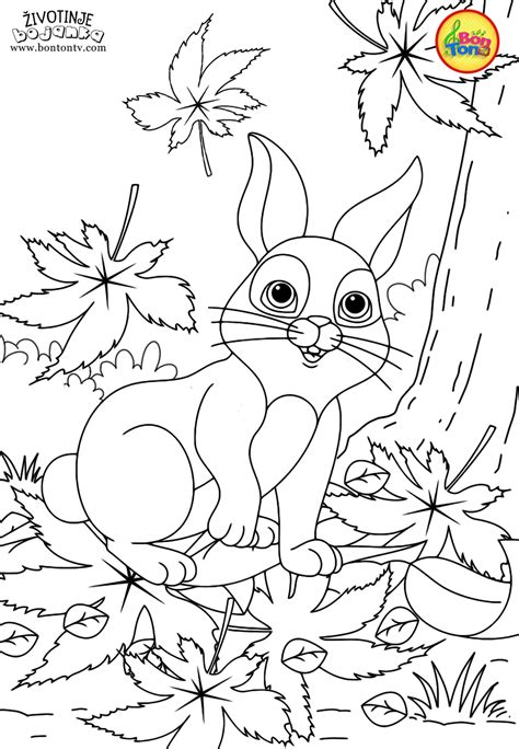 Animals Coloring Pages for Kids - Free Preschool Printables - Životinje ...