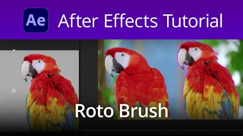 Using The Roto Brush Tool In Adobe After Effects YouTube