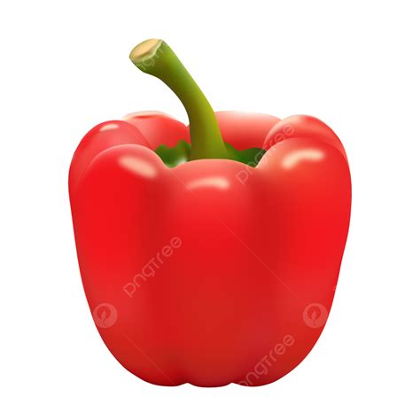 Red Bell Pepper Clipart Vector Fresh Delicious Red Bell Pepper Vector