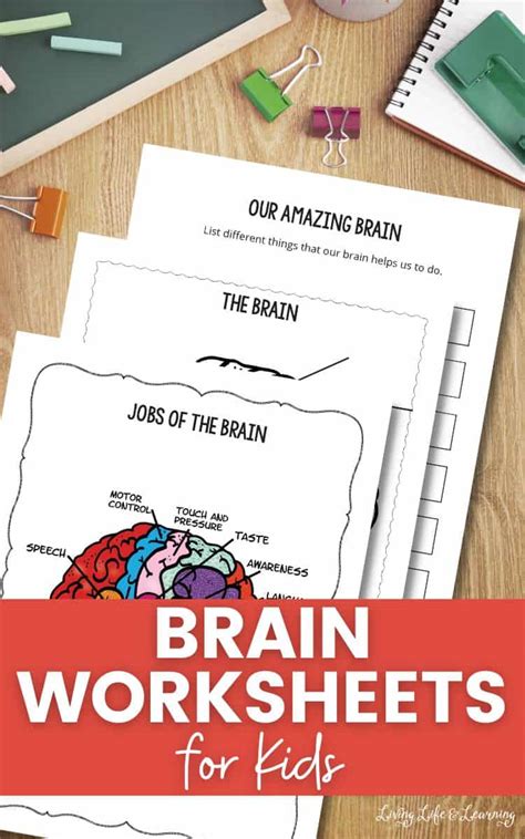 Brain Worksheets