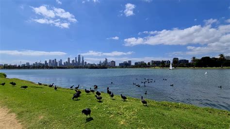 Albert Park Lake Melbourne Walking Tour Australia 4K YouTube