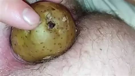 Playing With Vegetable Part Free Gay Fat Cock Hd Porn F Xhamster