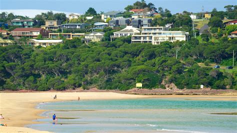 Merimbula Nsw Cottages Stayz