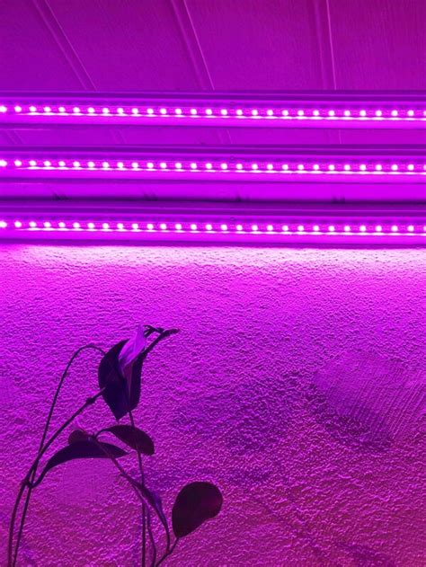 Plant Grow LED Strip Light Plant Growth Light Strip For Home Garden