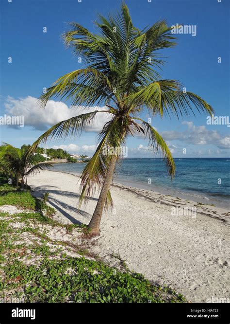 caribbean beach scenery Stock Photo - Alamy