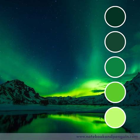 7 Gorgeous Dark Green Color Palette Ideas (With Hex Codes)