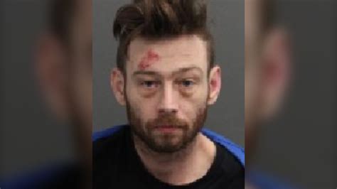 Ottawa Police Arrest Man Wanted In Barrhaven Purse Snatching Ctv News