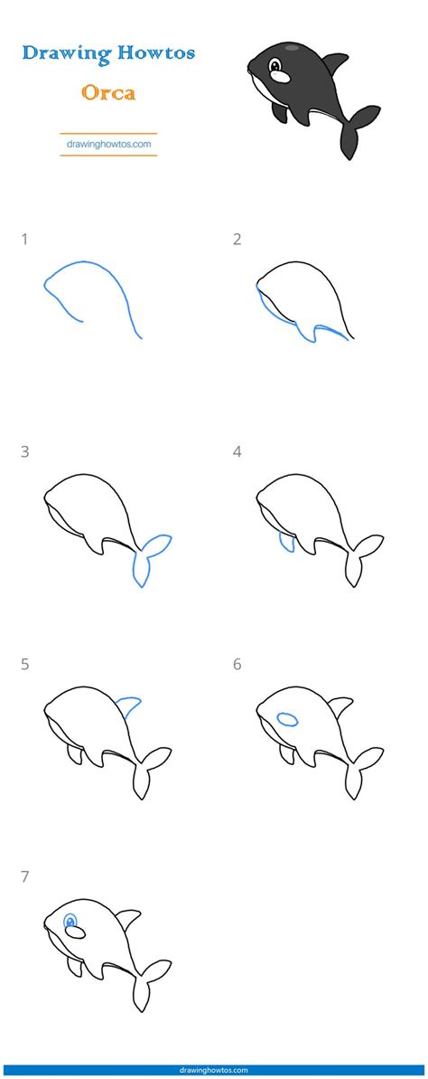 How to Draw an Orca - Step by Step Easy Drawing Guides - Drawing Howtos