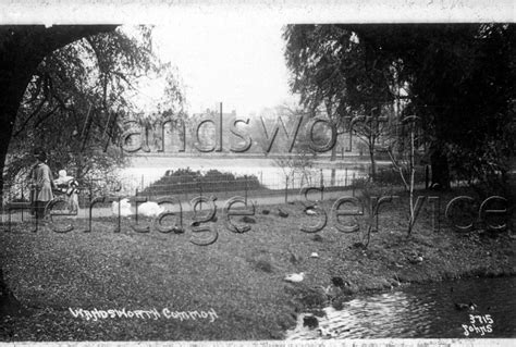 The Lake Wandsworth Common C1910 Wandsworth Borough