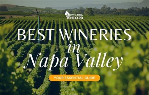 Best Wineries in Napa - Your Essential Guide