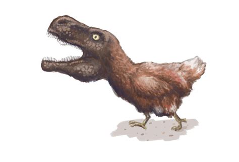 Chickenosaurus By Sotheywantnames On Deviantart