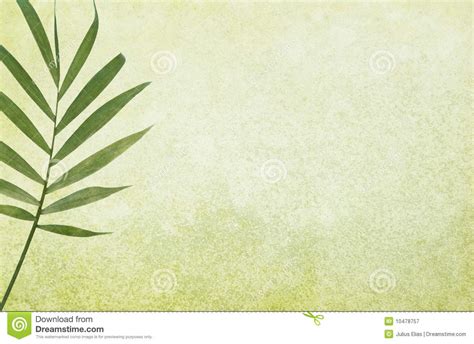 🔥 [50+] Palm Frond Wallpapers | WallpaperSafari