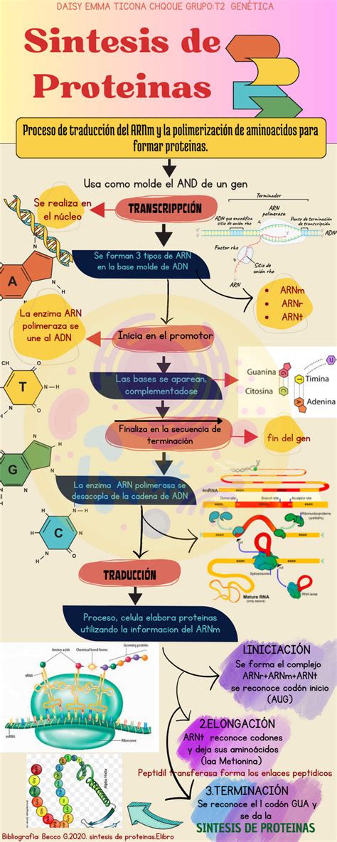 BLOGCITO en 2024 Sintesis de proteinas Enseñanza de química Notas