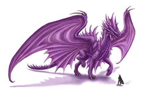 Amethyst Dragon by XxAtriusxX on deviantART