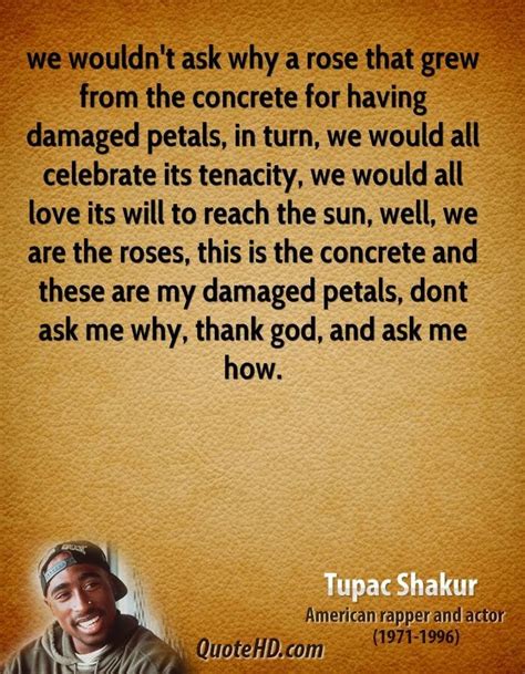 Image The Rose That Grew From Concrete By Tupac Shakur Getmotivated