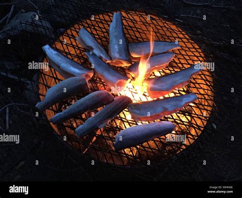 Fish on the fire Stock Photo - Alamy