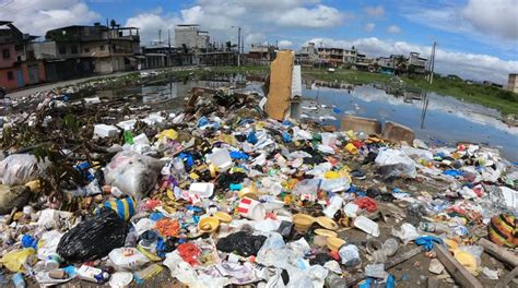 Ecuador tuvo una media de 130 casos anuales de leptospirosis en 5 años