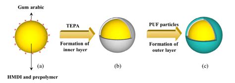 Schematic Representation Of Double Layered Polyurea Microcapsule