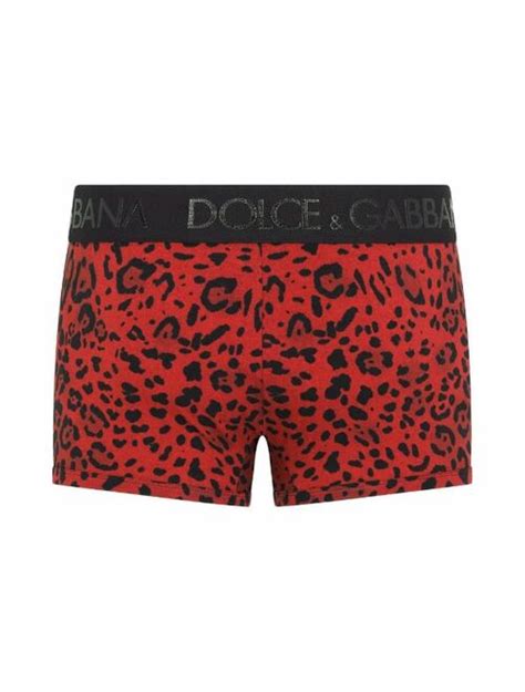 Buy Dolce And Gabbana Leopard Print Logo Waistband Boxers Online Topofstyle