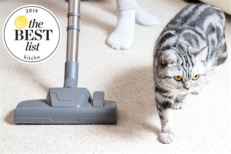 Best Cheap Vacuum on Amazon: Bissell Featherweight Vacuum Review | The Kitchn