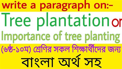 Tree Plantation Paragraph Importance Of Tree Planting Paragraph A