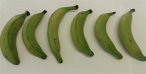 Plantain Fruit