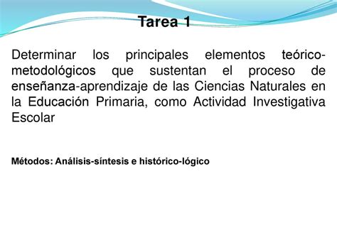 Actividad Investigativa Escolar En La Educaci N Primaria Ppt Descargar