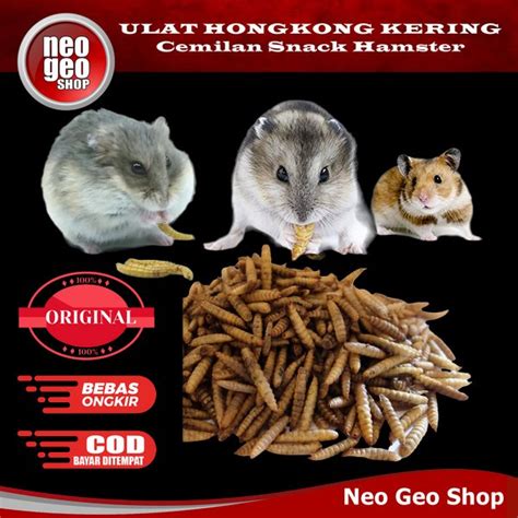 Jual Ulat Ulet Hongkong Dried Mealworm Snack Cemilan Makanan Hamster