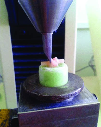 Measurement Of Shear Bond Strength Using Universal Testing Machine Download Scientific Diagram