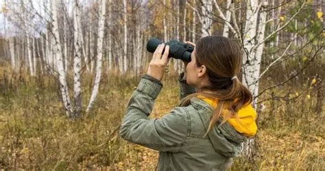 Best Zoom Binoculars: What Professionals Need to Know? – Photo 4 Art ...