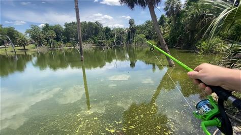 Fishing In A Nasty Pond With Monster Fish Youtube