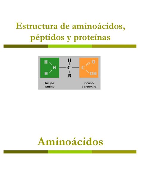 Estructura de Aminoácidos | PDF