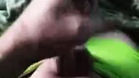 Looking To Fulfill Some Much Needed Fantasies Gay Porn B Xhamster