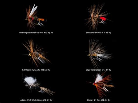 Goture Fly Fishing Flies Kit Pcs Fly Fishing Lures Fly Fishing