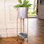 Freestanding Tall Indoor Planter By Dibor