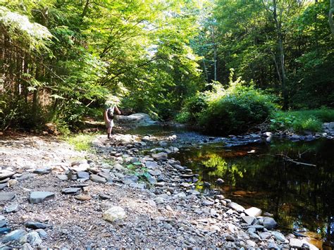 Connecticut Fly Angler: My Biggest Wild Brook Trout... So Far