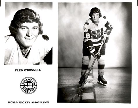 Pf1 70s Original Photo Fred Odonnell New England Whalers Whl Hockey