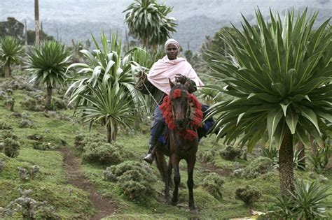 Oromiatimes Oromia In Pictures Bale Mountains