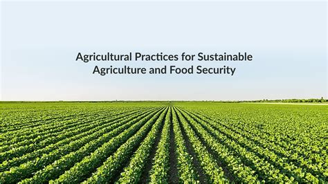 Agricultural Practices For Sustainable Agriculture And Food Security