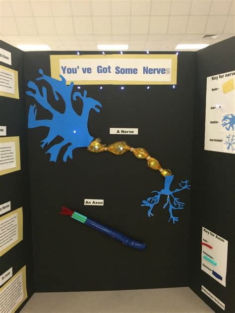 75+ Science Fair Project Ideas - MomDot