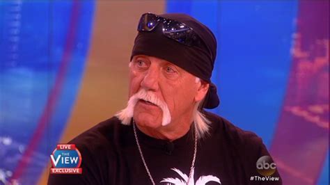 Hulk Hogan Discusses Sex Tape Lawsuit With Gawker Media On The View