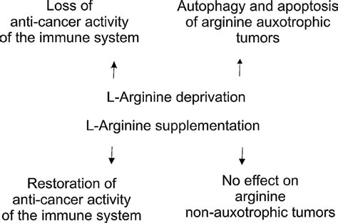 The effect of L-arginine supplementation or deprivation on the immune ...