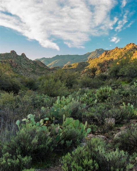 20 Superstition Mountains Hiking Trails You Can't Miss