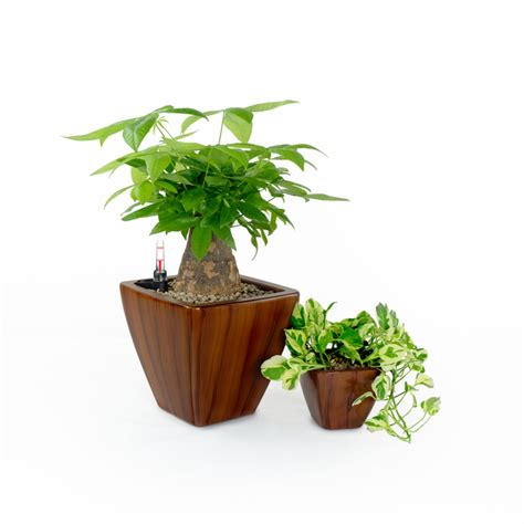 Millwood Pines Pot Planter Wayfair