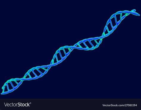 Dna Spiral Royalty Free Vector Image Vectorstock