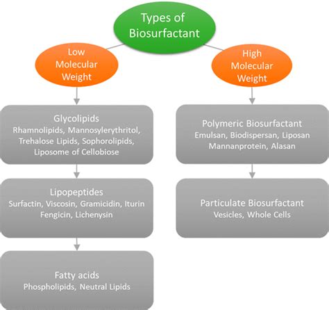 Green Surfactants Biosurfactants A Petroleum Free Substitute For