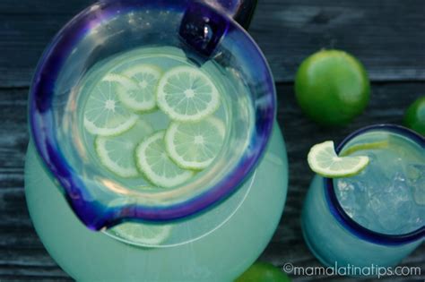 Top Imagen Agua De Limon Receta Mexicana Abzlocal Mx