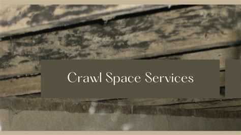 Crawl Space Cleaning Services In Durham EGN Systems